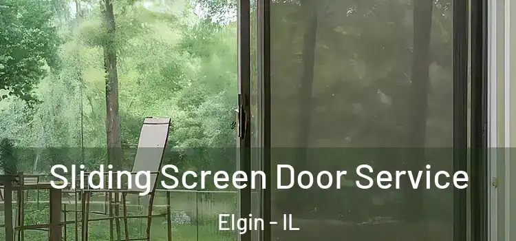 Sliding Screen Door Service Elgin - IL